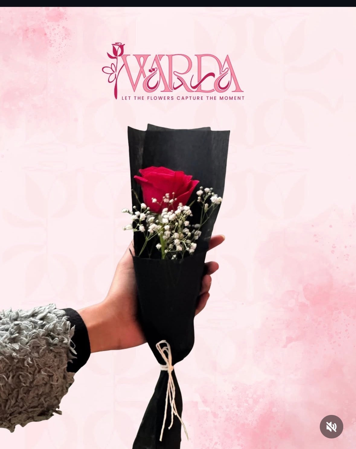 Midnight Single Rose