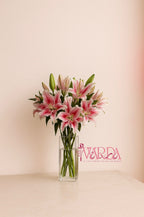 Stargazer Luxe Bloom