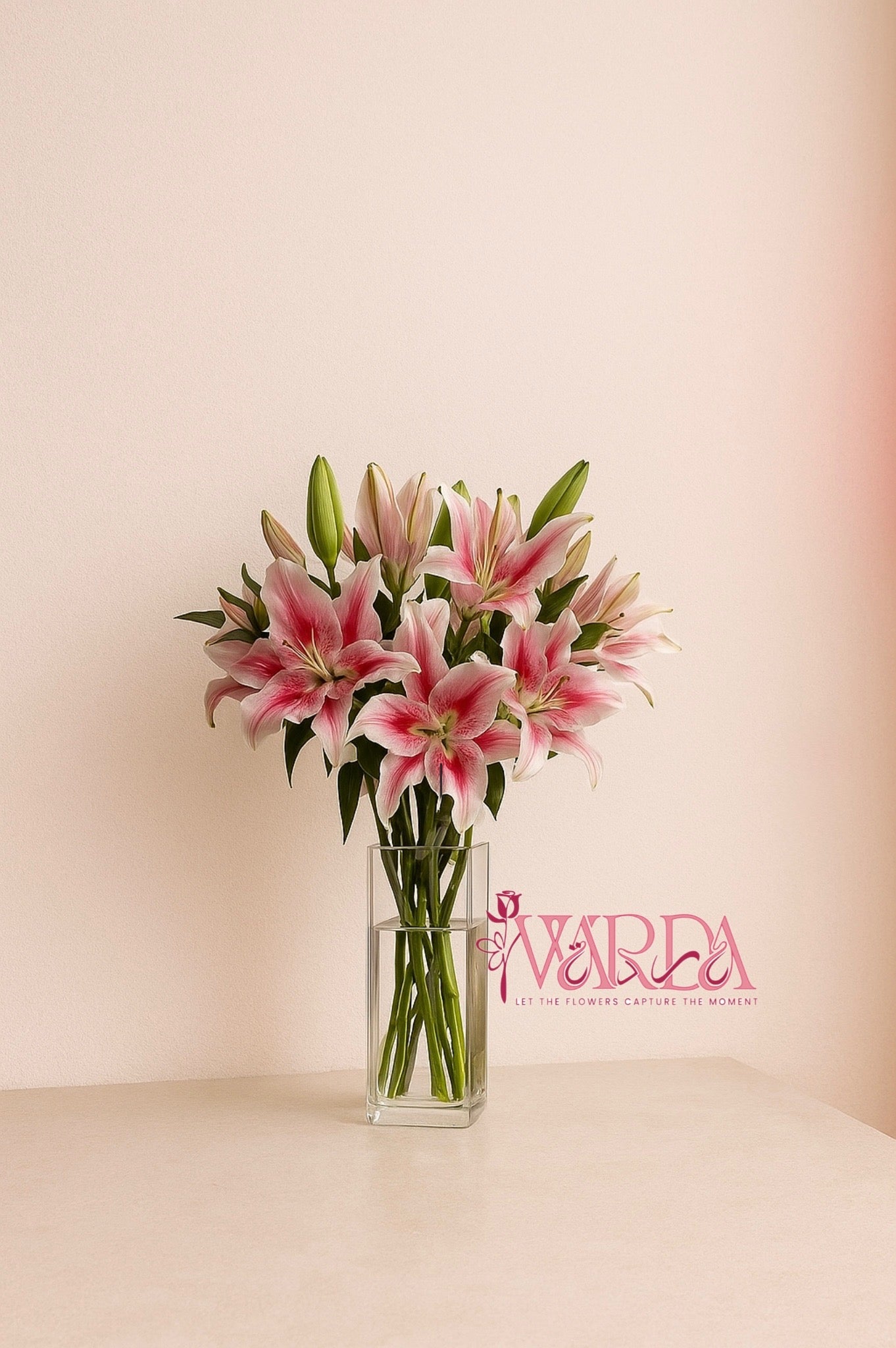 Stargazer Luxe Bloom