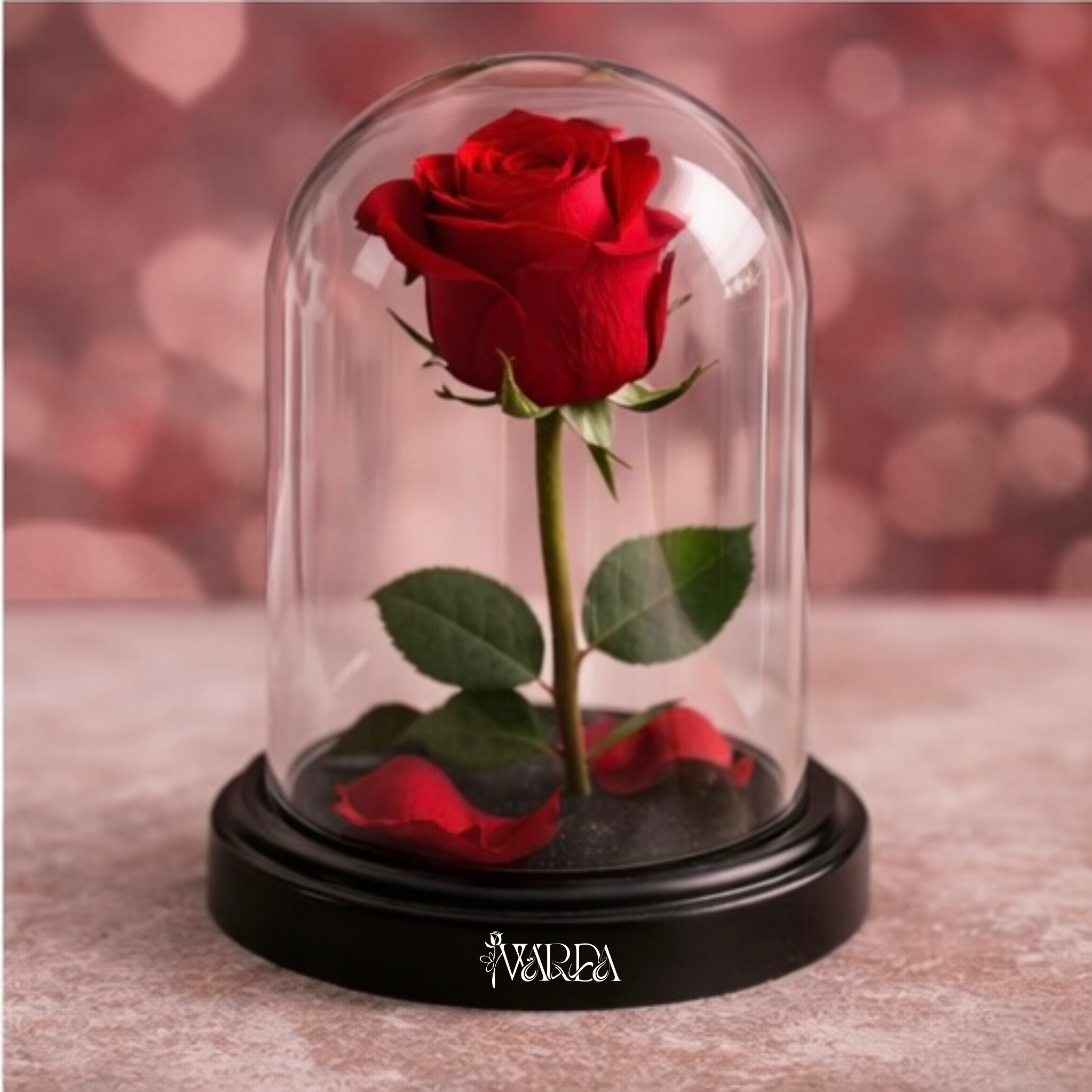 Forever Rose Under Glass Dome